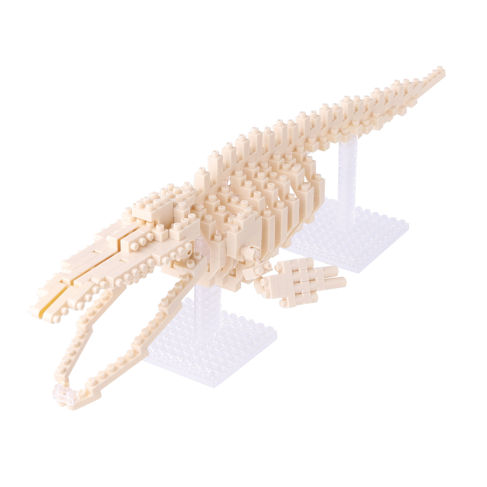 【海底世界】藍鯨骨架模型積木
